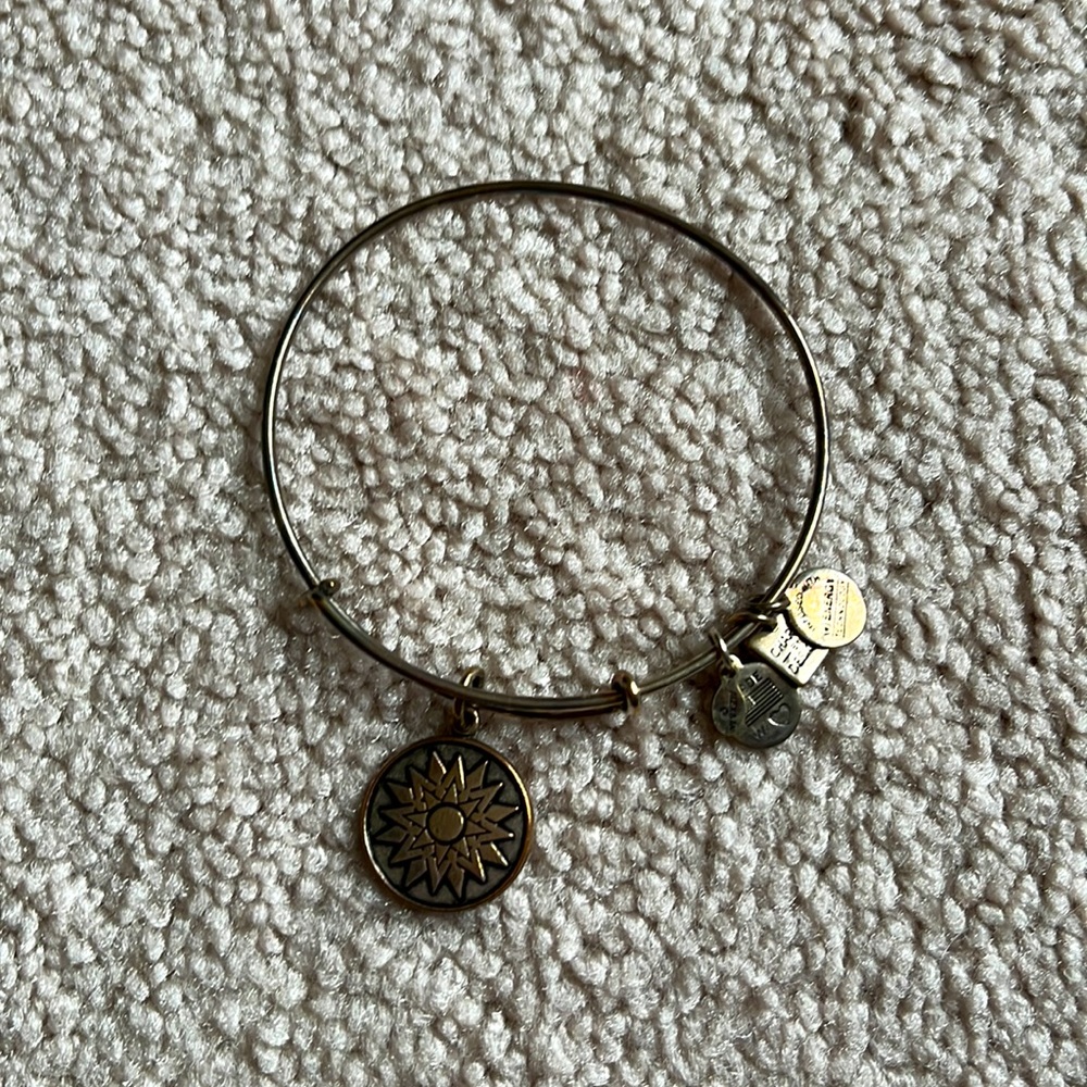 Alex and Ani Silver Bengal